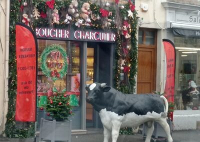 devanture-florale-location-nancy