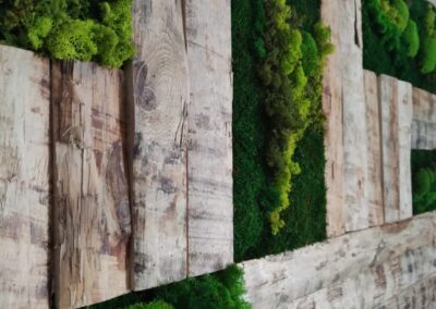 mur-vegetal-vitrine-paris-evenement