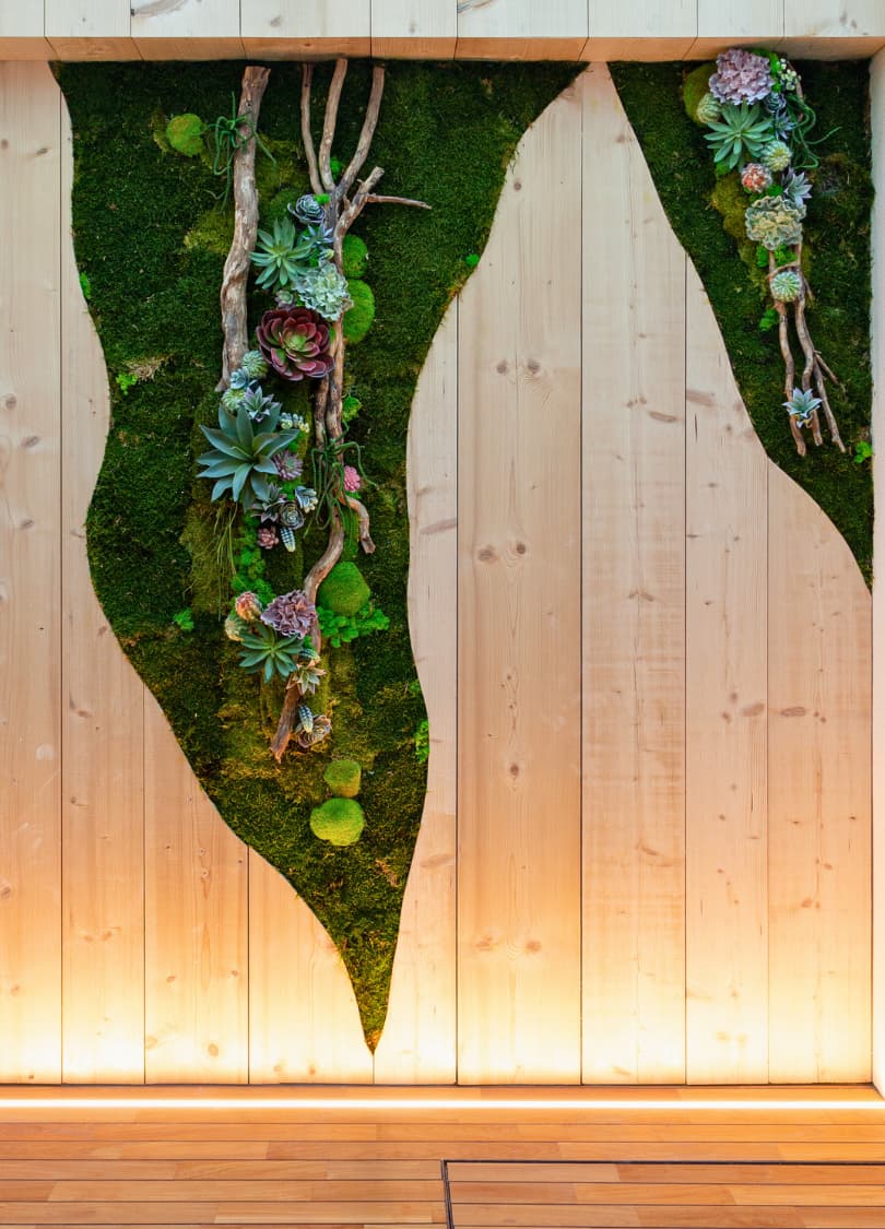 Flower Shop 47 Mur végétal naturel stabilisé sans entretien – projet commercial Grand Est